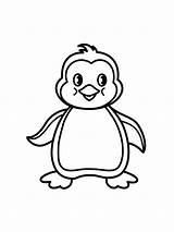 Penguin coloring page sketch template