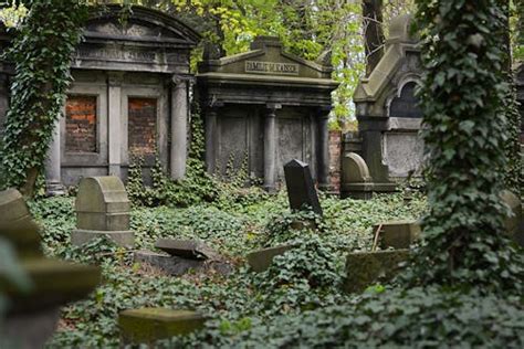 2,000+ Best Cemetery Photos · 100% Free Download · Pexels Stock Photos