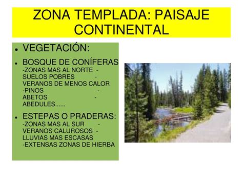 PPT - CLIMAS Y PAISAJES DE LA TIERRA PowerPoint Presentation, free download - ID:1994023