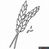 Wheat Coloring Page  Easy Drawing Guides sketch template