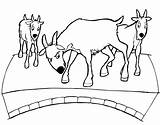 Bring The Story Of Three Billy Goats Gruff To Life With Our Fun And  sketch template