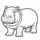 Hippopotamus Coloring Pages 36  Gem sketch template