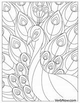 Peacock Feather Coloring Page sketch template