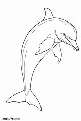 Bottlenose Dolphin full Body coloring Page sketch template