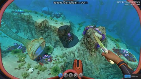 How to Get Table Coral on Subnautica - YouTube