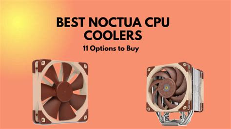 6 Best Noctua CPU Coolers To Get in 2024 [Intel/Ryzen]