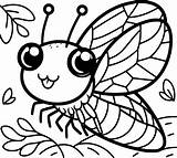 Cicada Coloring Pages  ColoringDraftcom sketch template