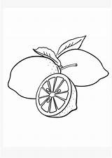 Coloring Pages  Printable Lemon Page For Kids sketch template