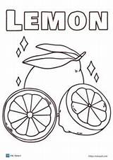 11 Free Lemon coloring Pages PDF  ESL Vault sketch template
