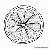 Lemon Coloring Pages  Free & Printable sketch template