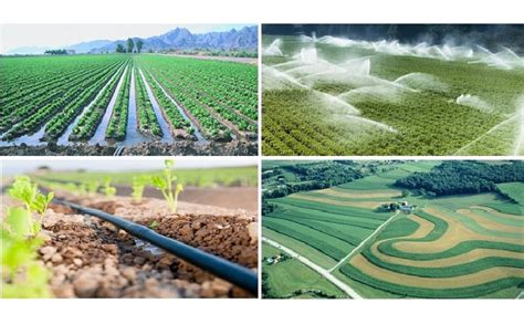 Types Of Irrigation | Methods Of Irrigation | What Is Irrigation