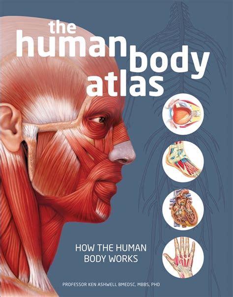 The Human Body Atlas by National Geographic | Quarto At A Glance | The Quarto Group