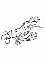 Crayfish coloring Page sketch template