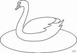 Cisne Schwan Colorir Malvorlage Ausmalbilder Patinho Feio  sketch template
