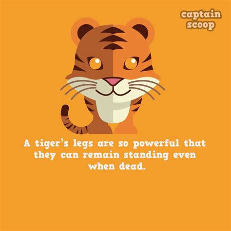 Cool Animal Facts You Probably Didn't Know (With images) | Fun facts about animals, Animal facts ...