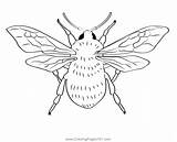 Bumble Bee 4 Coloring Page For Kids  Free Bumblebees Printable sketch template