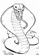 Printable Snake Coloring Pages sketch template