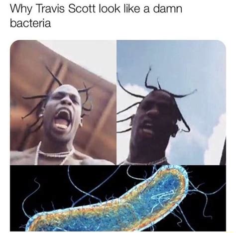 Why Travis Scott look like a damn bacteria - iFunny Brazil