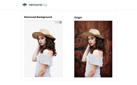 Top 10 Free Online Background Remover Tools | Removal.AI