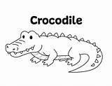 Crocodile Coloring Pages Kids sketch template