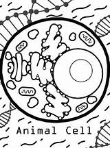 Quiver Coloring Pages Printable sketch template
