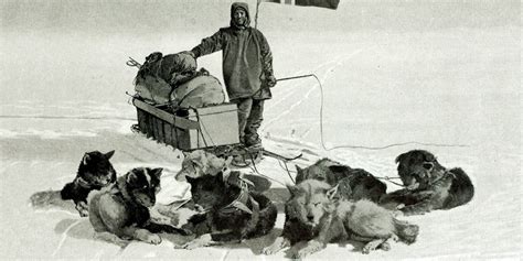 Scott vs. Amundsen: the Conquest of the South Pole - Bird In Flight