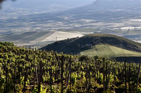 Wine Tours - Bespokewinetoursicily