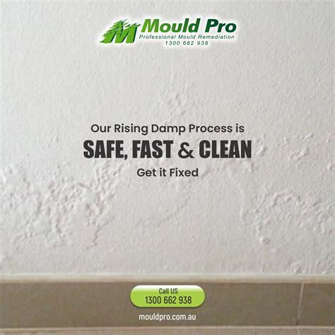 Rising Damp Removal | Sydney | Melbourne | Brisbane | MouldPro