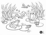 Collection Of Pond Coloring Pages  Free Printable sketch template