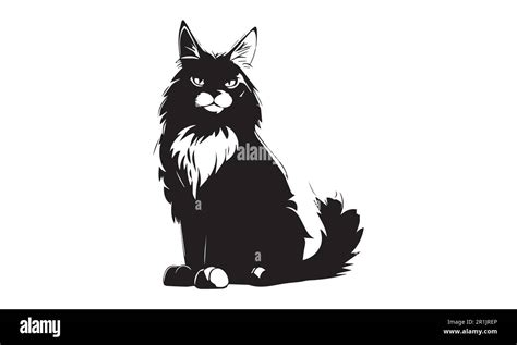 Silhouette Maine cat vector illustration. Black and white cartoon cat isolation Stock Vector ...