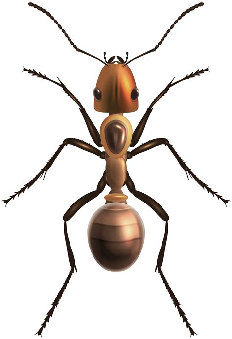 Clipart leaf ant, Clipart leaf ant Transparent FREE for download on WebStockReview 2023