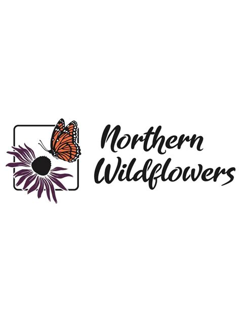 Semences Achillée Millefeuille / Northern Wildflowers – La Shop Agricole pour votre agriculture ...