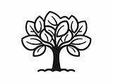 Fig Tree Coloring Magic  Page sketch template