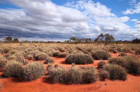 The Great Victoria Desert - WorldAtlas