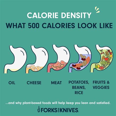 Printable Calorie Density Chart