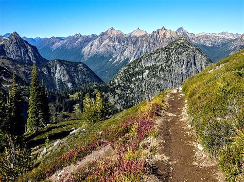 Maple Pass Trail | Natural Atlas