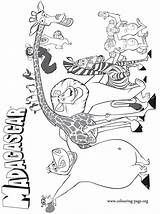 madagascar coloring Pics – Free Printables sketch template