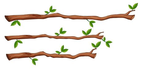 A set of tree branch 433549 Vector Art at Vecteezy