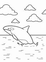 Lovely Whale coloring Page  Download Print Or Color Online For Free sketch template