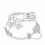 25 Delightful Frog Coloring Pages For Your Little Ones sketch template