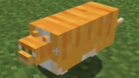 Cat Minecraft – Telegraph