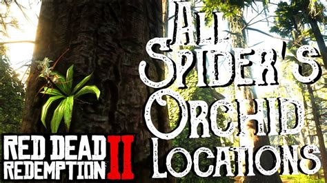 Red Dead Redemption 2 - All 10 Spider Orchid Locations (Duchesses and Other Animals) Exotics ...