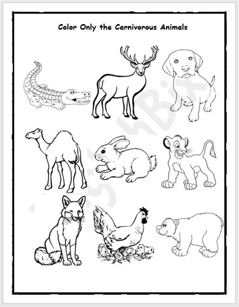 Herbivores and Carinvores Animals Picture Workbook - EnglishBix