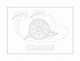 Orange Coloring Pages – Printable Coloring Pages FREE sketch template
