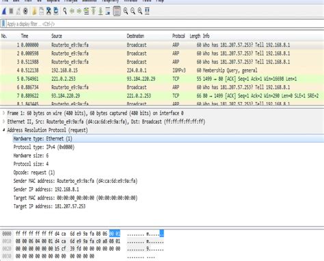 Wireshark Packet Sniffing Tool Interface. | Download Scientific Diagram