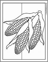 Corn Coloring Pages Three Ears Summer Or Fall sketch template