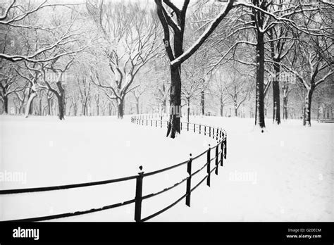 Snow in Central Park, New York City, USA Stock Photo - Alamy