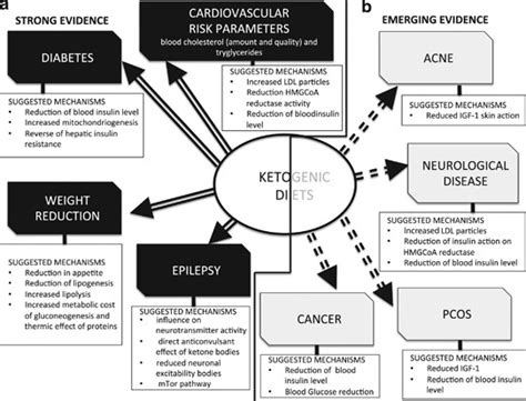 Beyond weight loss: a review of the therapeutic uses of very-low ...