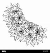 Gerber Daisy Coloring Pages At Getcolorings Com Free  Vrogueco sketch template