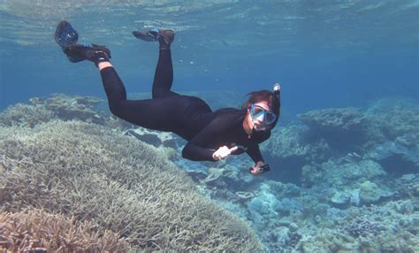 Central Pacific Coral Reef Shows Remarkable Recovery From Bleaching ...